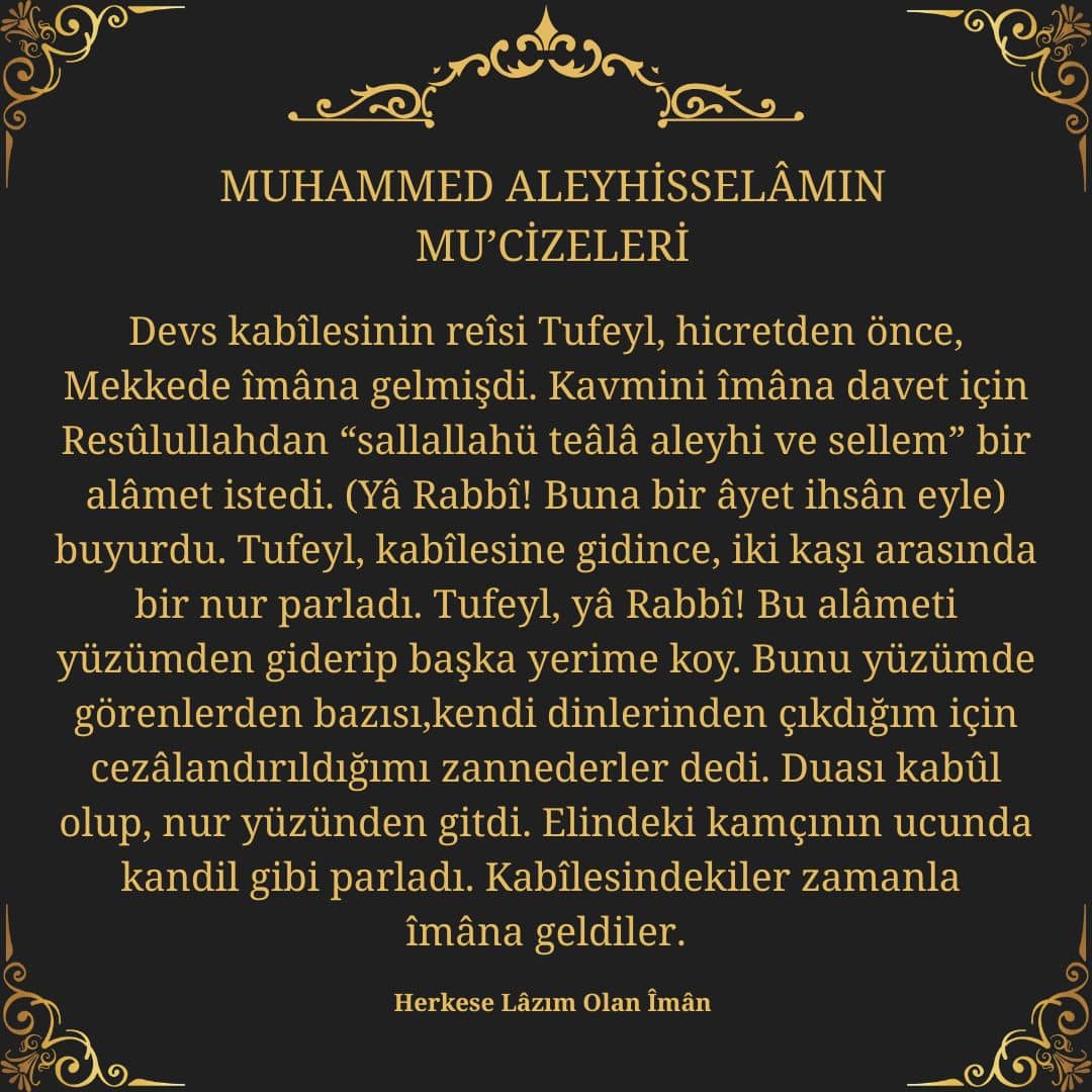 Mucizeleri (31)